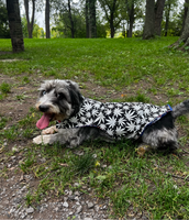 Handmade Reversible Dog Sweater